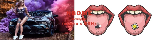 spice Богородицк