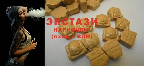 spice Богородицк