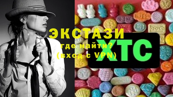 spice Богородицк