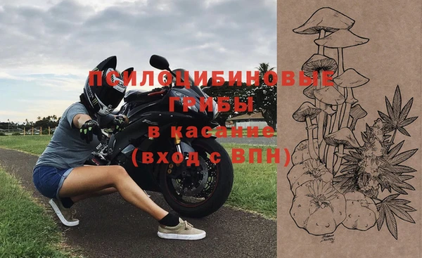 кокс Бородино