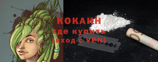 кокс Бородино