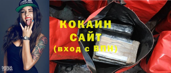 кокс Бородино