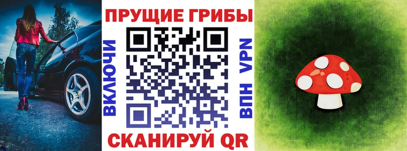 Галлюциногенные грибы ЛСД  OMG ссылки  Кинешма 